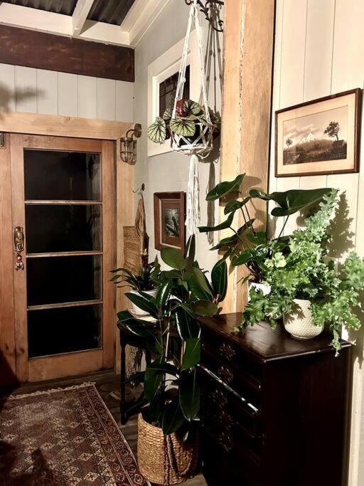 Oakura Pond Cottage - A Unique Kiwi Holiday Bach מראה חיצוני תמונה