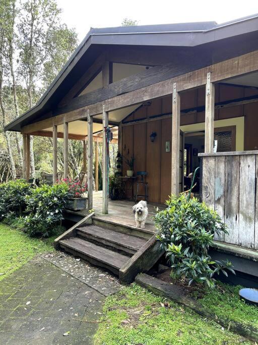 Oakura Pond Cottage - A Unique Kiwi Holiday Bach מראה חיצוני תמונה