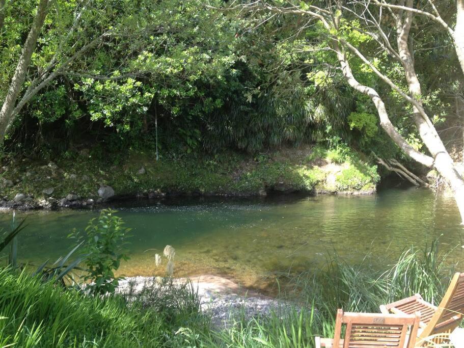 Oakura Pond Cottage - A Unique Kiwi Holiday Bach מראה חיצוני תמונה